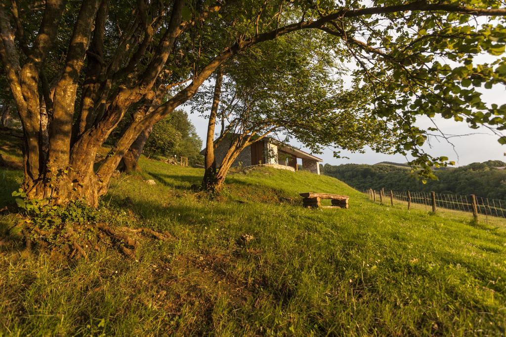 Cabanas Deluxe Basajaun Basoa By Irrisarri Land Igantzi Zimmer foto